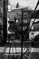 /album/p-b/electrico-jpg/